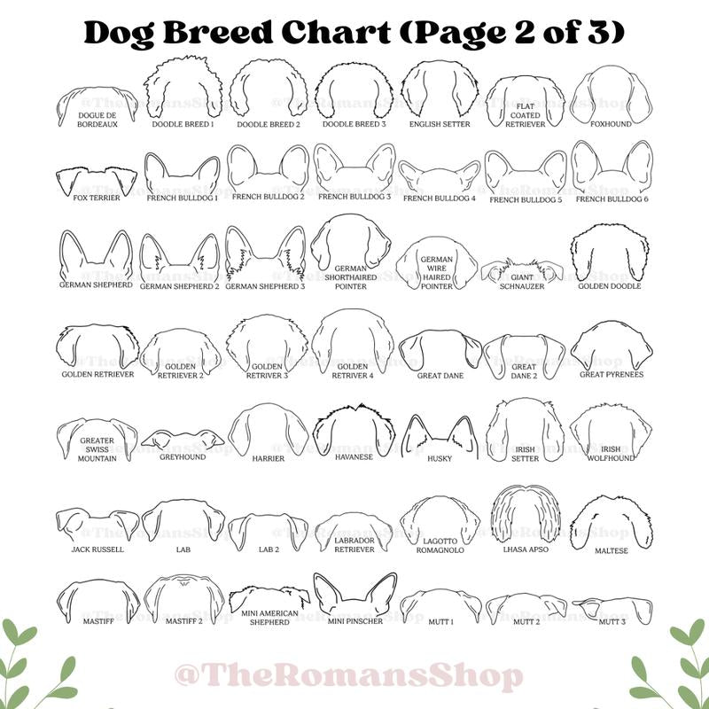 Custom Pet Collar Memorial Frame, Pet Sympathy Gift, Pet Loss Memorial Sign, Dog Collar Keepsake, Memorial Pet Collar Sign Display, Pet Gift