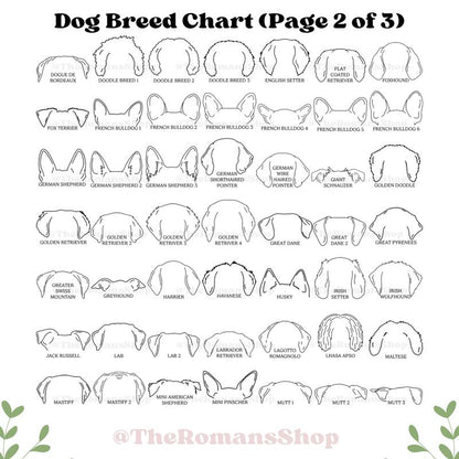 Custom Pet Collar Memorial Frame, Pet Sympathy Gift, Pet Loss Memorial Sign, Dog Collar Keepsake, Memorial Pet Collar Sign Display, Pet Gift